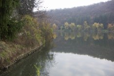 Радишево