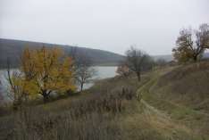Татари